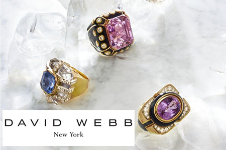 David Webb New York